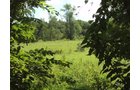 Property photo 2 - AUCTION CANCELLED TONIGHT!! SOLD Prior to Auction! 84+/- Acres Offered in 4 Tracts